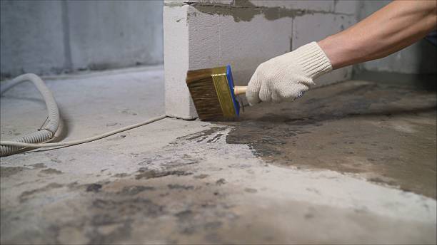 Crawl space vapor barrier installation in Loretto, TN